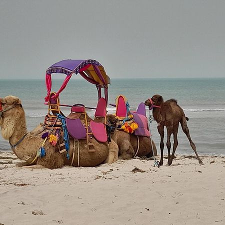 Dar El Kahina Djerba Hotel Mezraia Ngoại thất bức ảnh