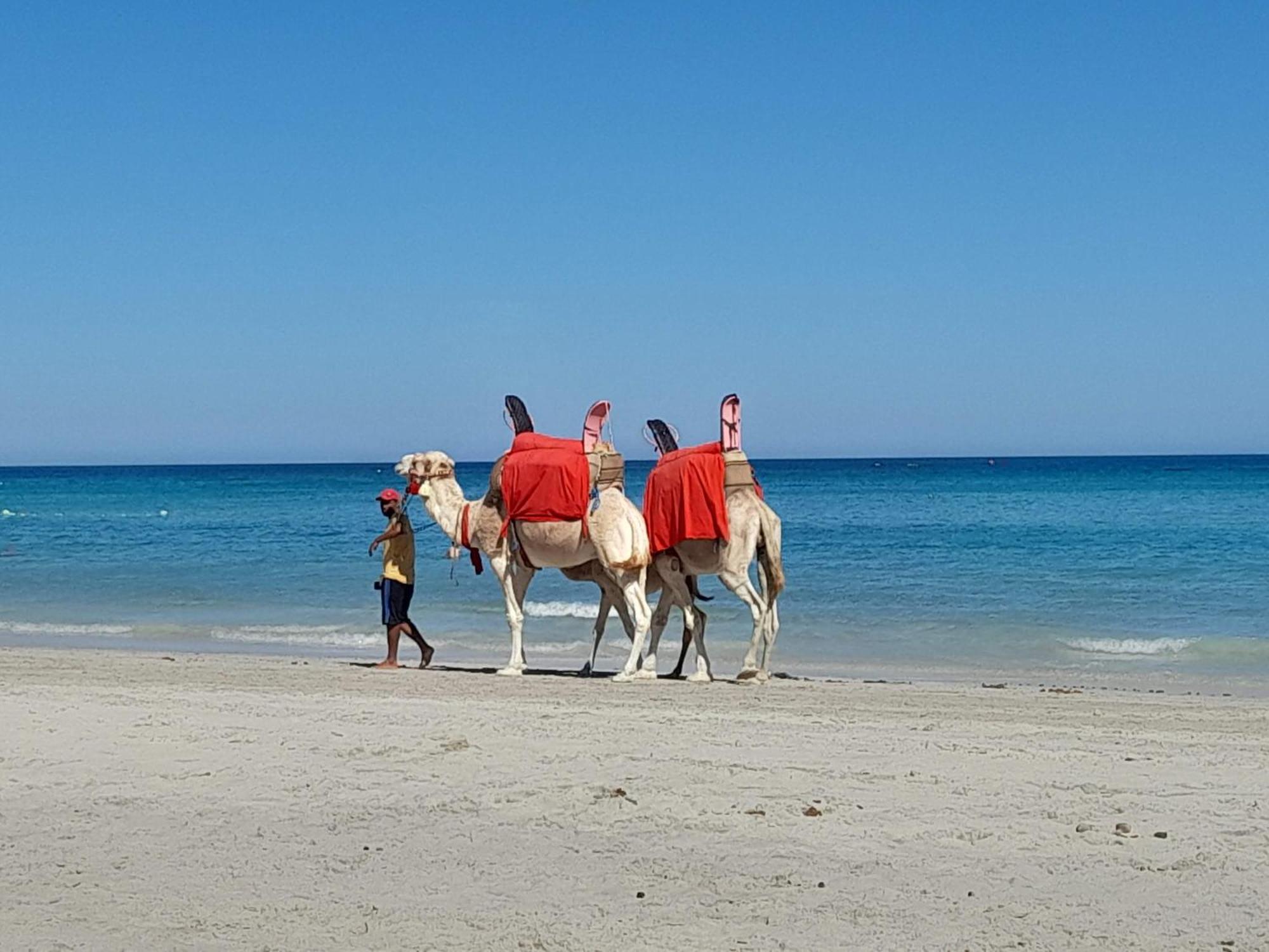 Dar El Kahina Djerba Hotel Mezraia Ngoại thất bức ảnh
